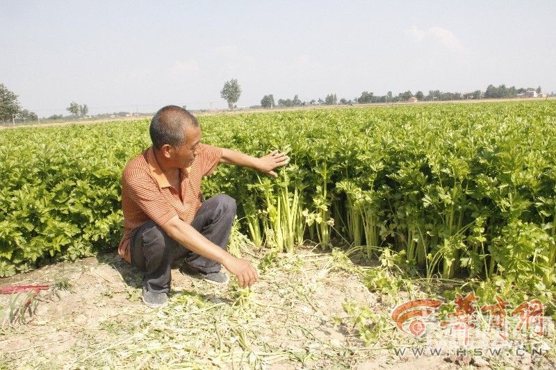 μ�Ϲٵ�����կ��������Ķ�۲����� ���������������������ԣ�