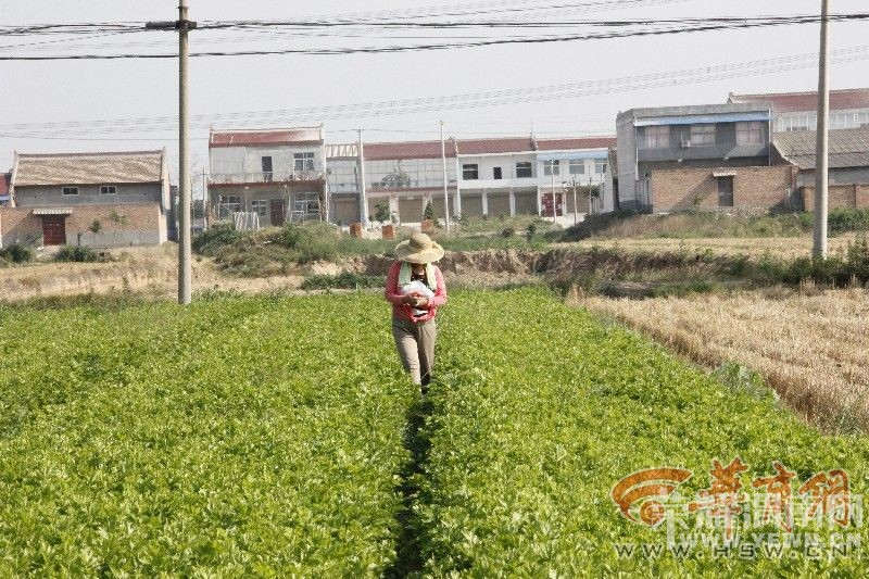 μ�Ϲٵ�����կ��������Ķ�۲����� ���������������������ԣ�