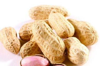 ������С֪ʶ�����ӳԷ���ͺã�������������ǹؼ���