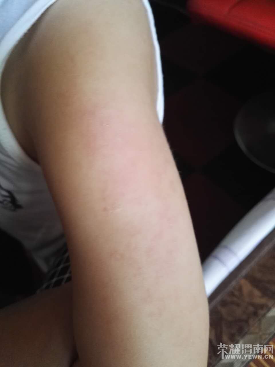 ��˭֪�����޸첲�ϳ�����ɶ�������ǲ��ǹ����ˣ�