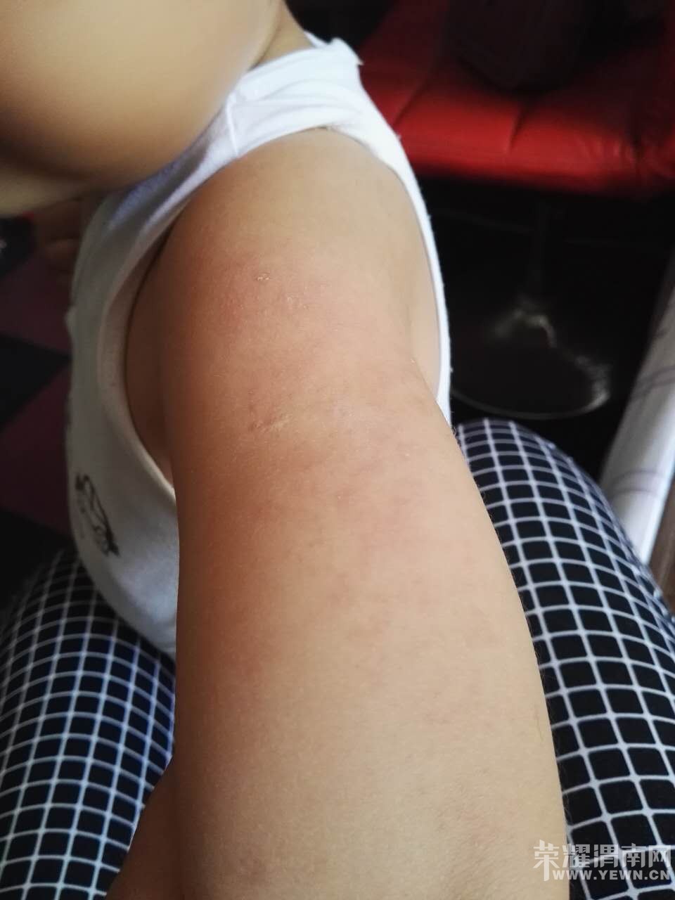 ��˭֪�����޸첲�ϳ�����ɶ�������ǲ��ǹ����ˣ�