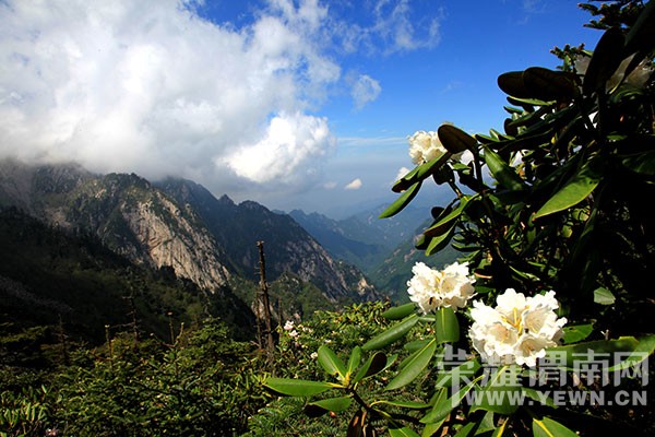 ������á�μ�Ͽ���ͬ�С�6��19�չ���AAAA������ȸɭ�ֹ�԰�����ʵ�һ����