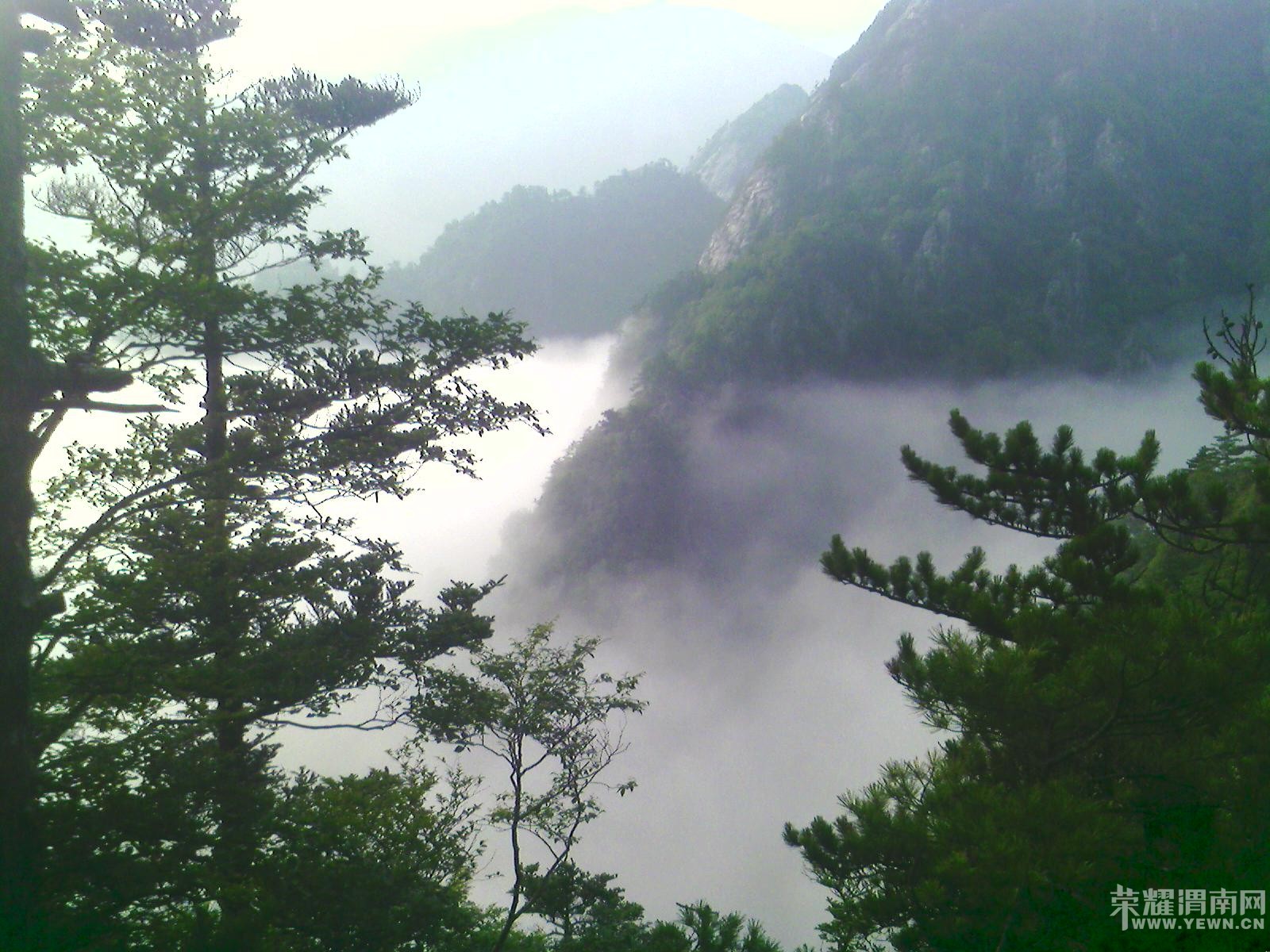 ������á�μ�Ͽ���ͬ�С�6��19�չ���AAAA������ȸɭ�ֹ�԰�����ʵ�һ����