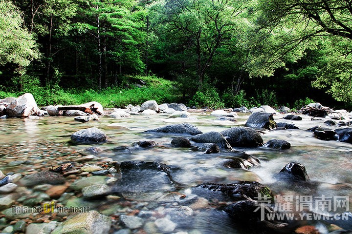 ������á�μ�Ͽ���ͬ�С�6��19�չ���AAAA������ȸɭ�ֹ�԰�����ʵ�һ����