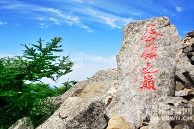 ������á�μ�Ͽ���ͬ�С�6��19�չ���AAAA������ȸɭ�ֹ�԰�����ʵ�һ����