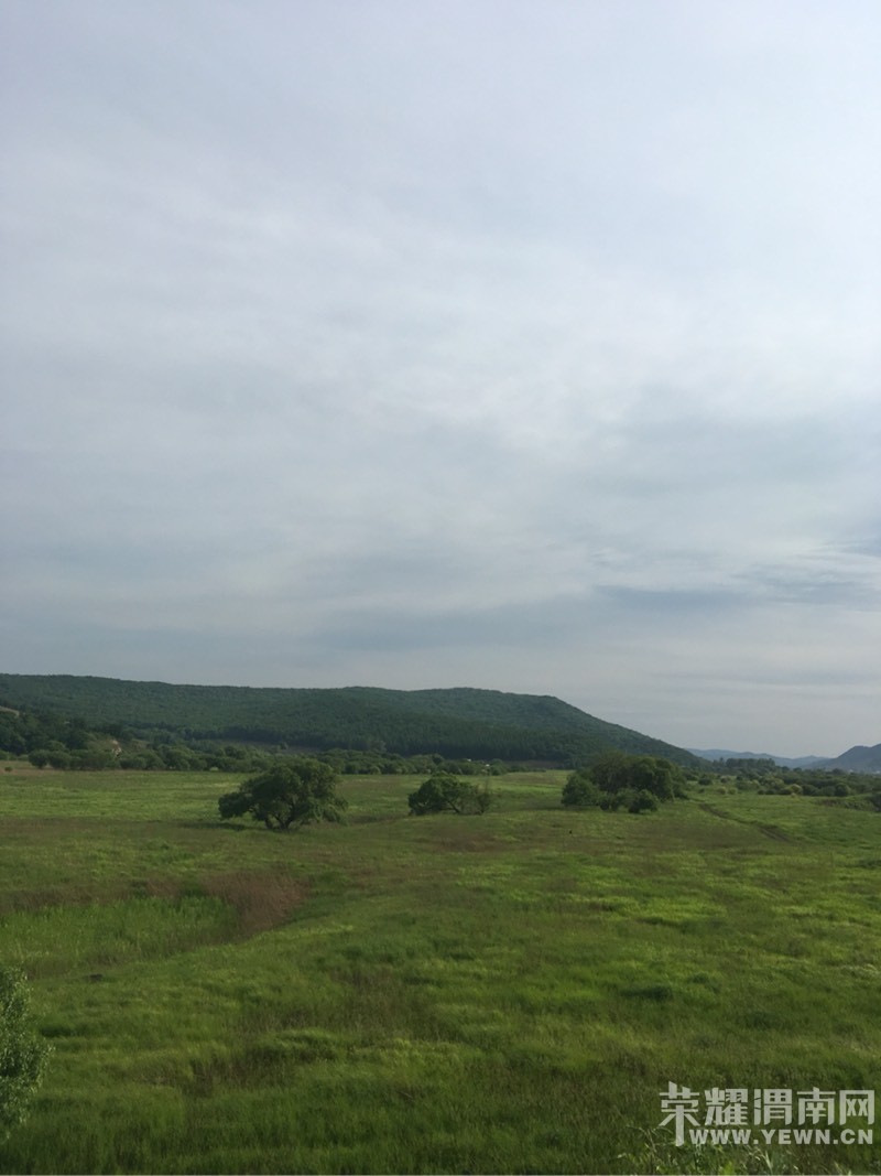 ����裬�����֣������棬�������������󡭡�