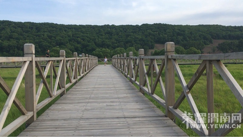 ����裬�����֣������棬�������������󡭡�