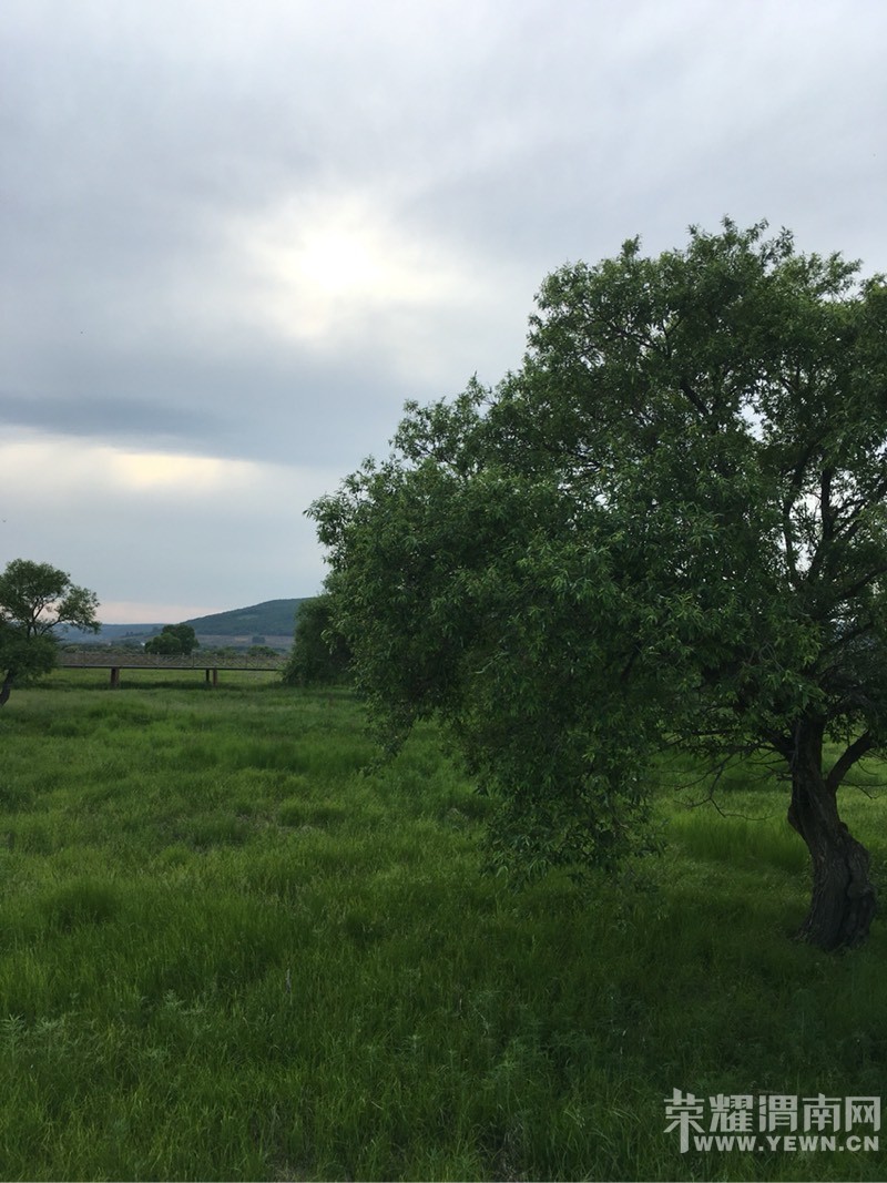 ����裬�����֣������棬�������������󡭡�