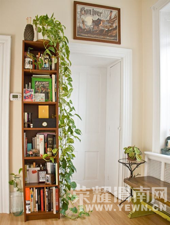 ��ôʵ�õ�����ܱ��˶��ܰںÿ�����ƾʲô���У�