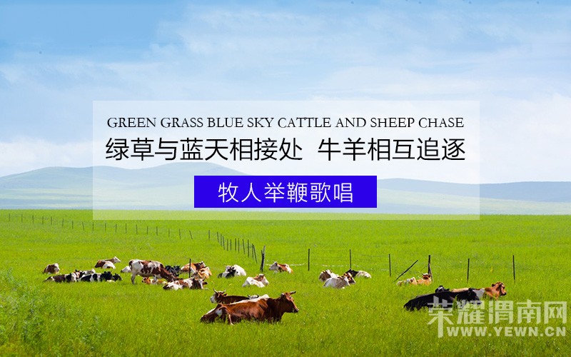 ���ԭ+Į�ӡ�2016���ױ�����ԭ+Į�ӱ�����Ѱ�ұ�������Ȱ�����