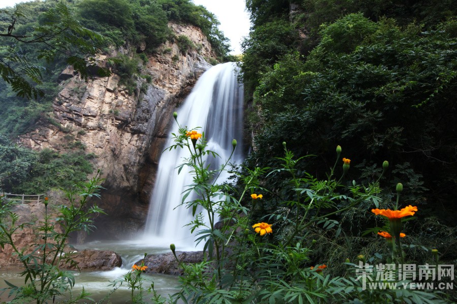    ԥ����Ͽ�����ֽڽ��ŷ�10��ֻө����조�λ�ɭ����ۡ�