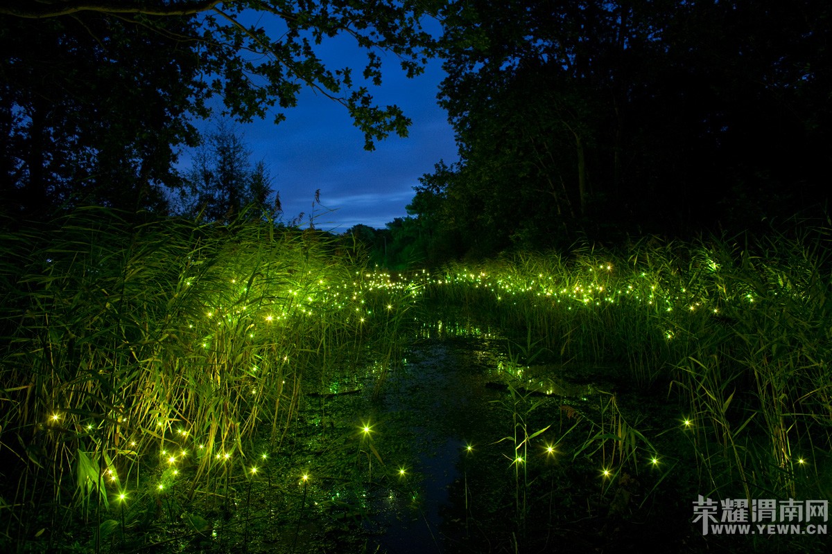    ԥ����Ͽ�����ֽڽ��ŷ�10��ֻө����조�λ�ɭ����ۡ�