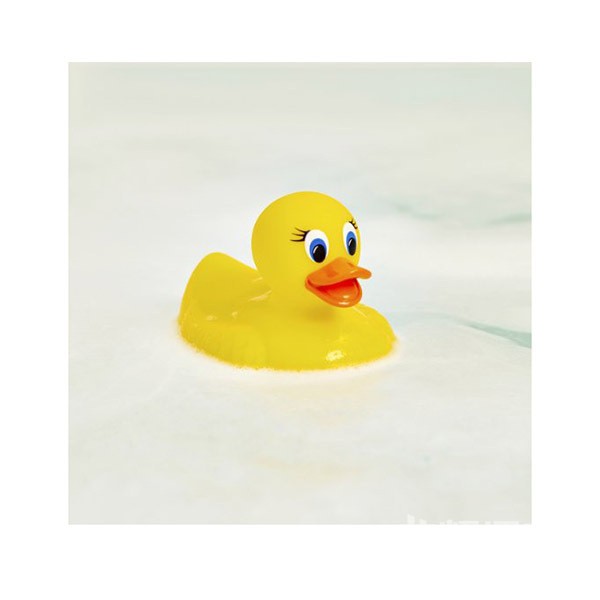 ��˼���棡���ĵ������Ǹ�����������ְɣ�лл����