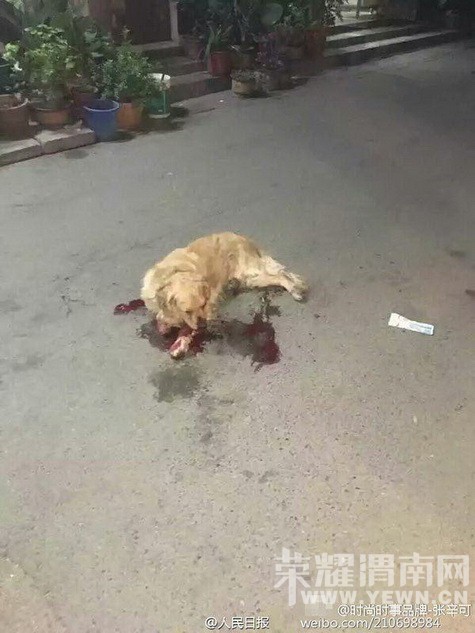 ���ò��̡���ë�������ӻ����˳��� �����˴�����ˣ�ͼ��