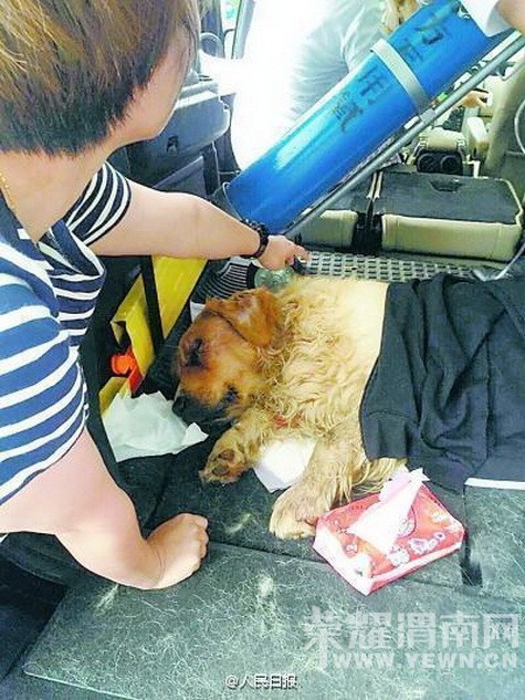 ���ò��̡���ë�������ӻ����˳��� �����˴�����ˣ�ͼ��