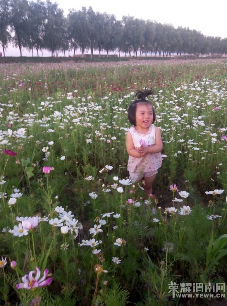 �����Χ���ʻ�һ���������պÿɰ���