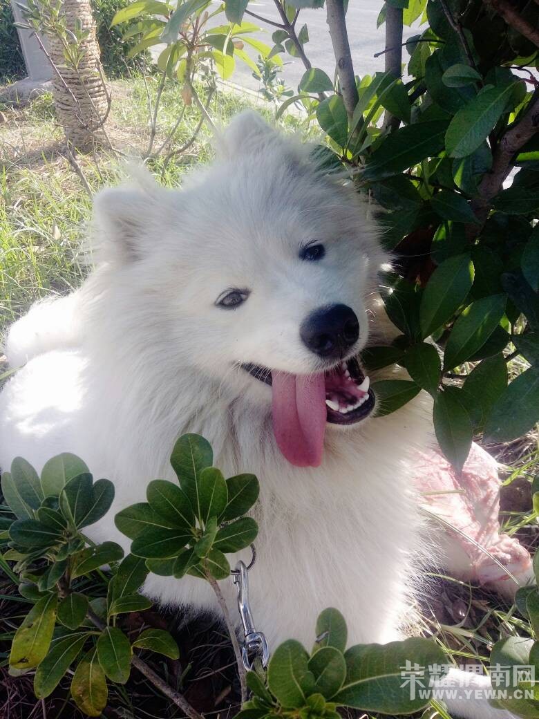 ���������ڻ������涪ʧһֻ�ǰ���ĦҮ�������⣡