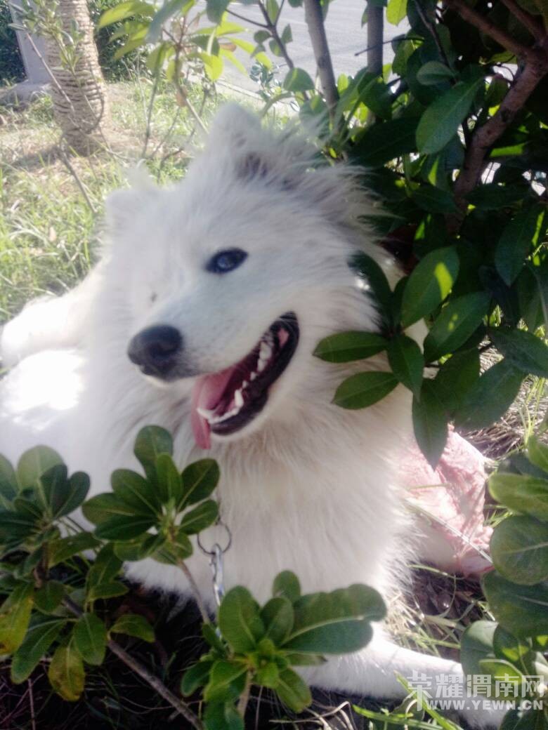 ���������ڻ������涪ʧһֻ�ǰ���ĦҮ�������⣡