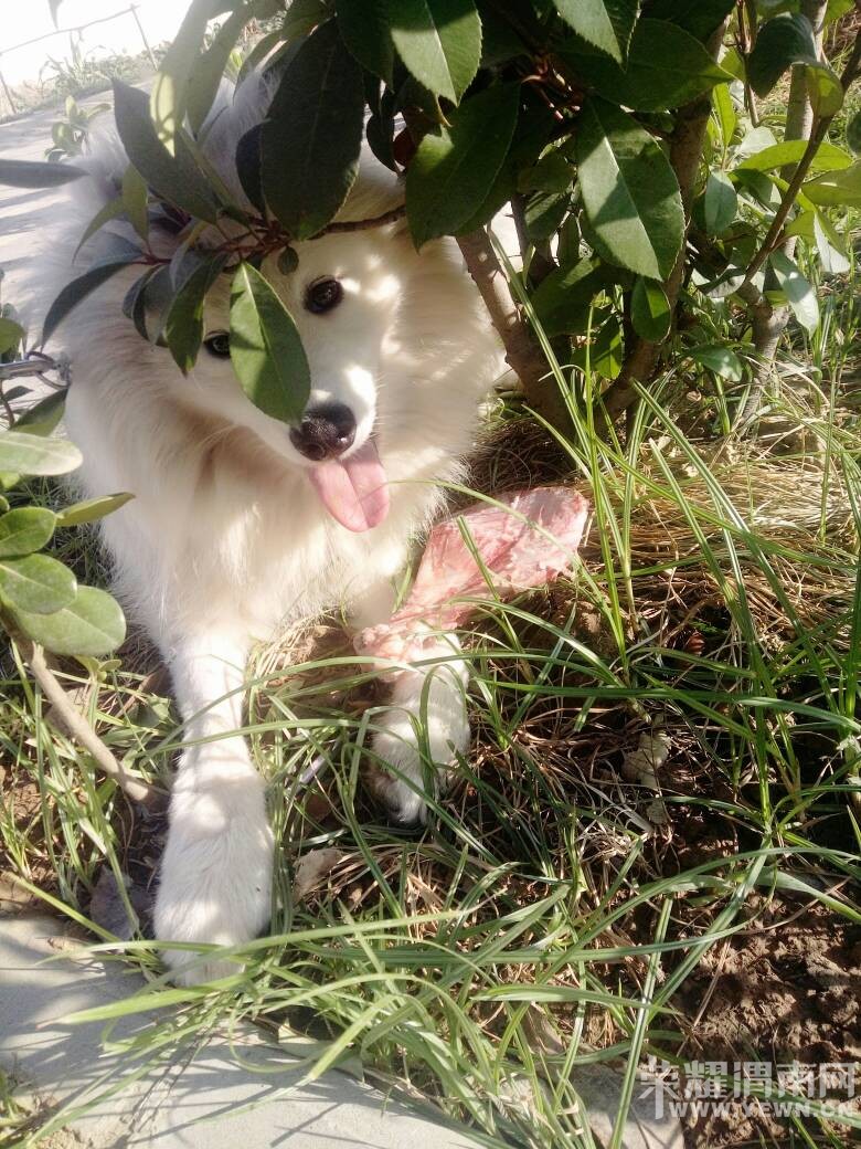 ���������ڻ������涪ʧһֻ�ǰ���ĦҮ�������⣡