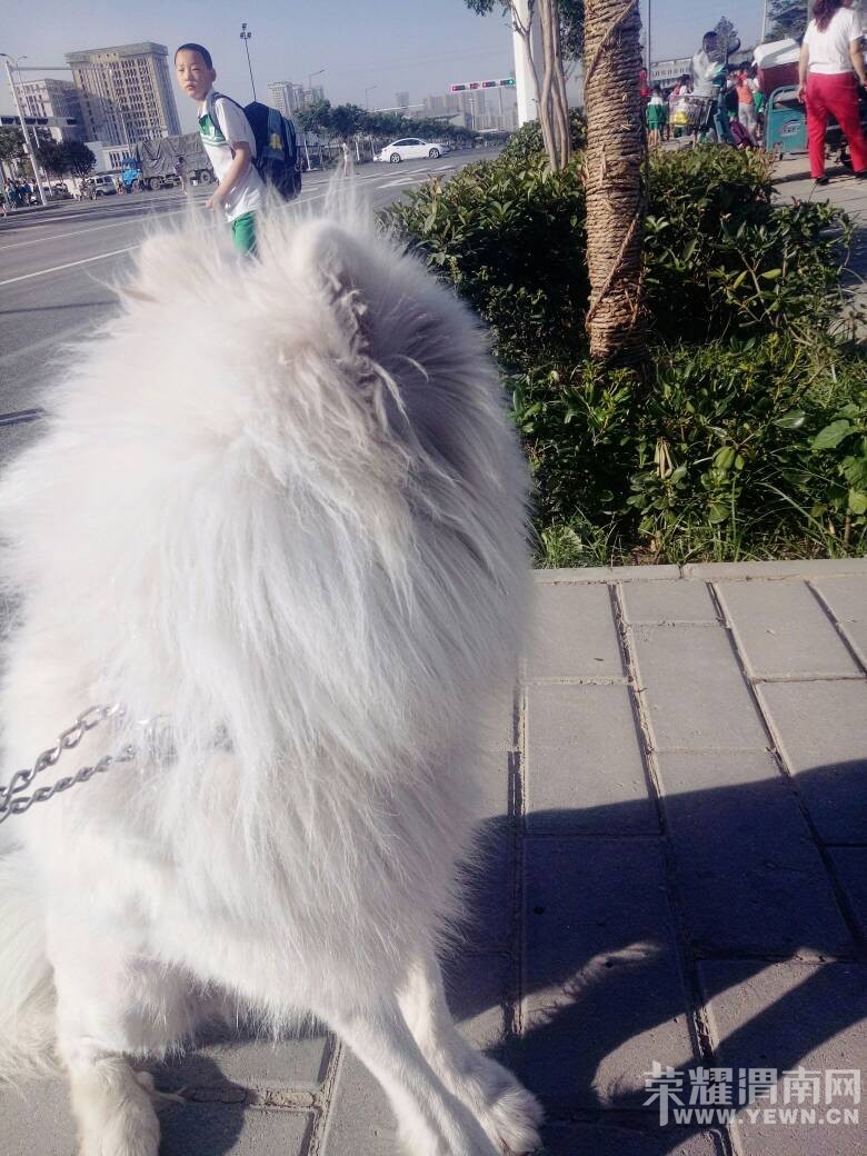 ���������ڻ������涪ʧһֻ�ǰ���ĦҮ�������⣡