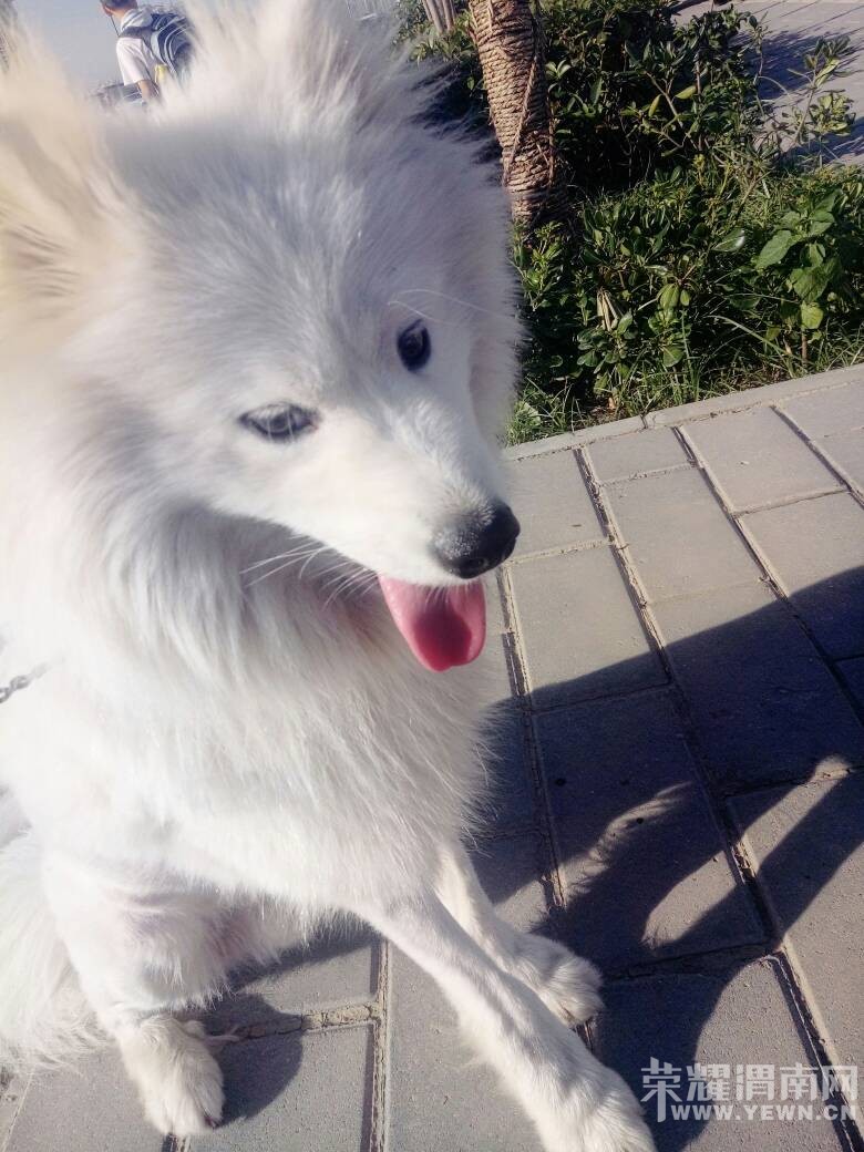 ���������ڻ������涪ʧһֻ�ǰ���ĦҮ�������⣡