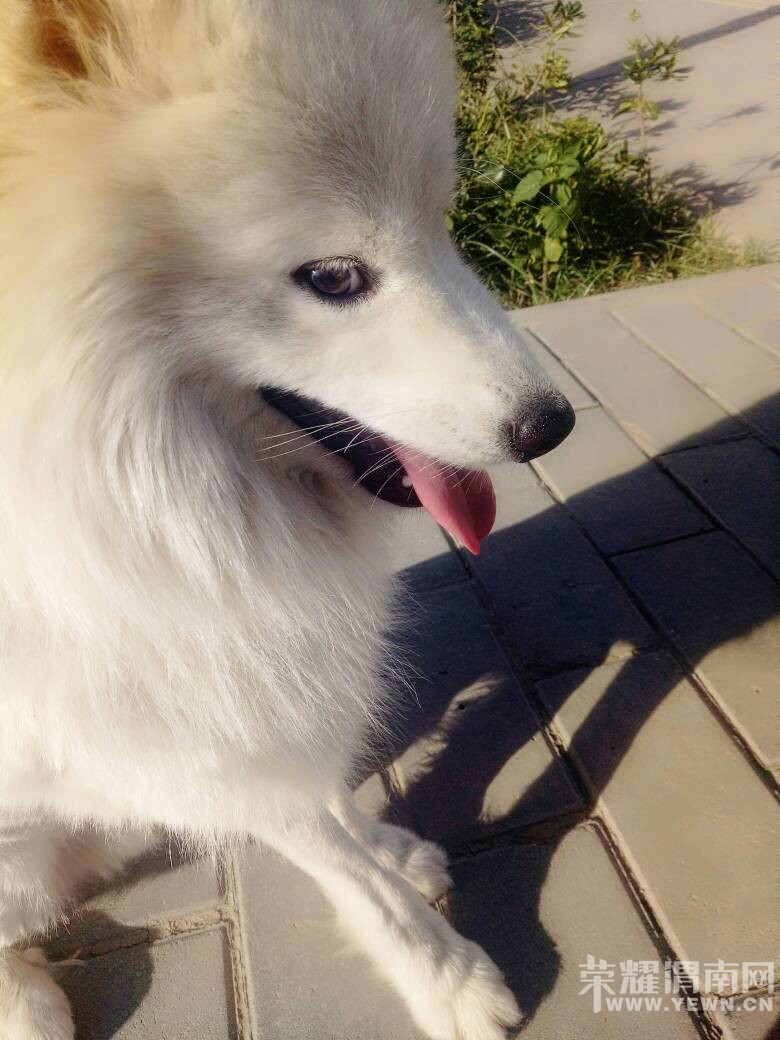 ���������ڻ������涪ʧһֻ�ǰ���ĦҮ�������⣡