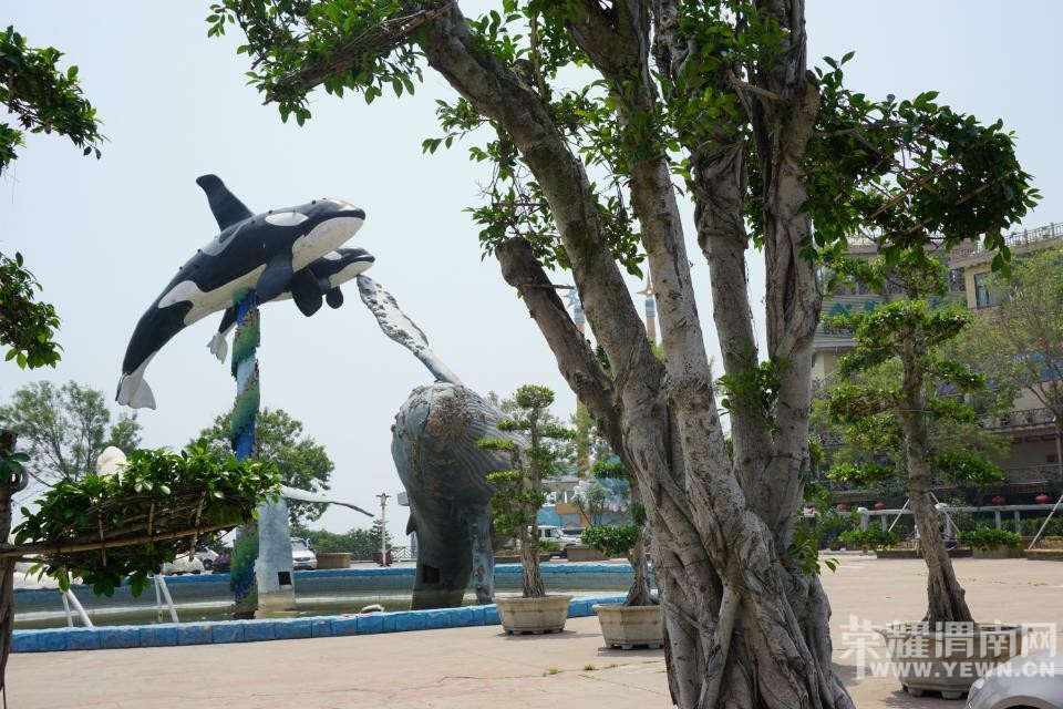 ������á�����ͬ�л��⡿6��29���׷�����-�ൺ-���Ƹ�-̨��ׯ���������