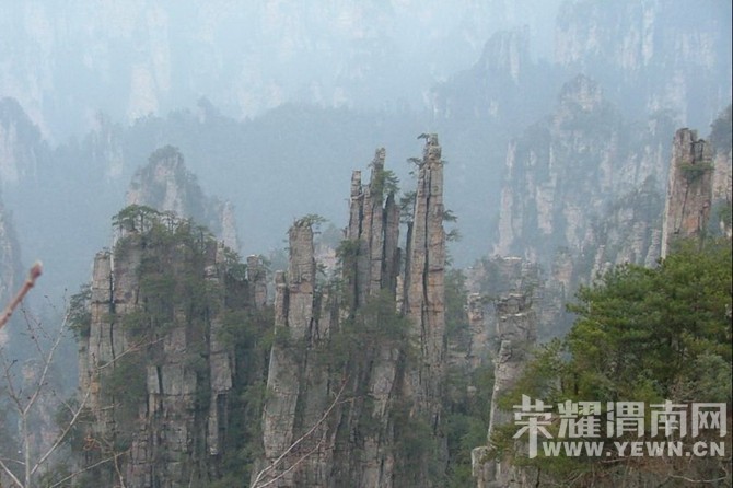 �����żҽ��������������У�