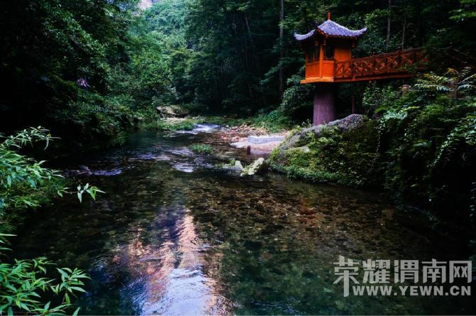 �����żҽ��������������У�