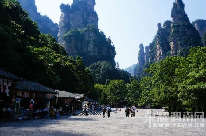 �����żҽ��������������У�