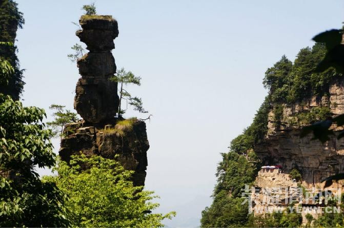 �����żҽ��������������У�