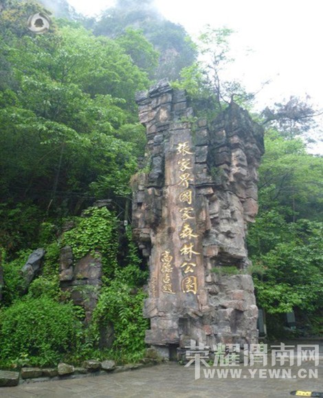 �����żҽ��������������У�