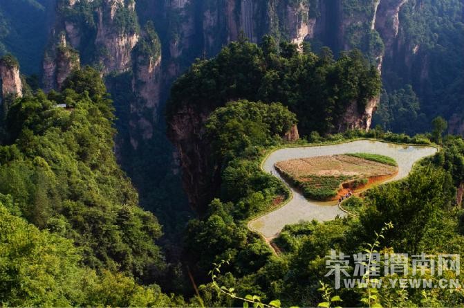 �����żҽ��������������У�