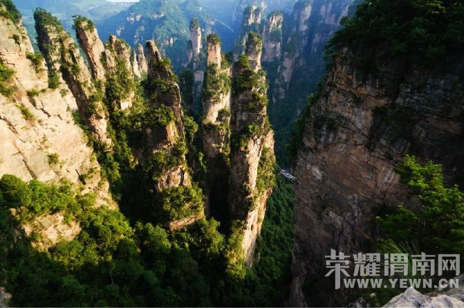 �����żҽ��������������У�