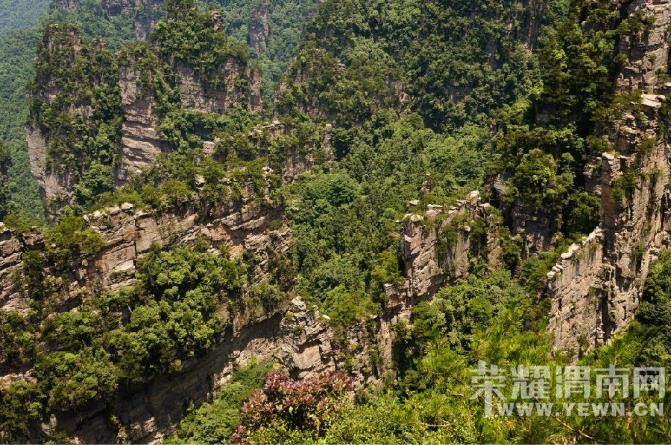 �����żҽ��������������У�