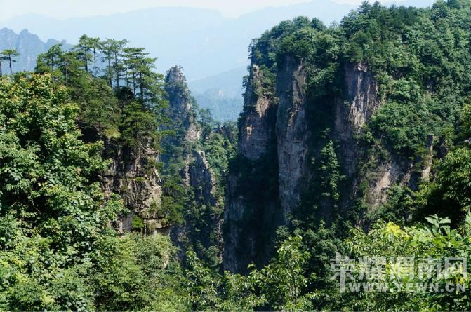 �����żҽ��������������У�