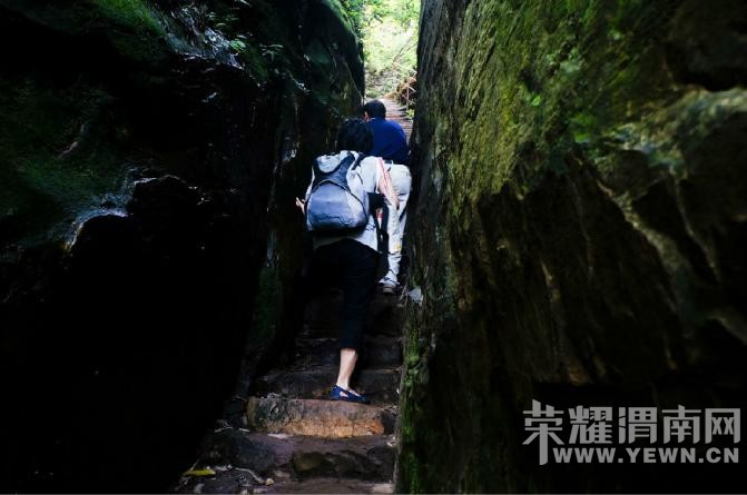 �����żҽ��������������У�