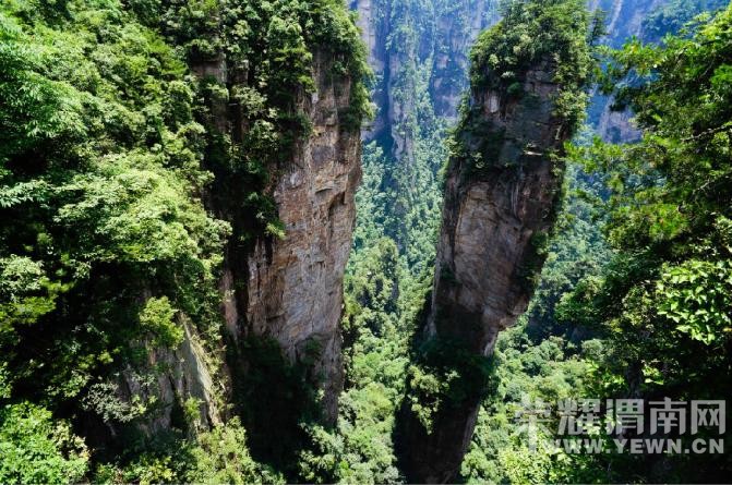 �����żҽ��������������У�