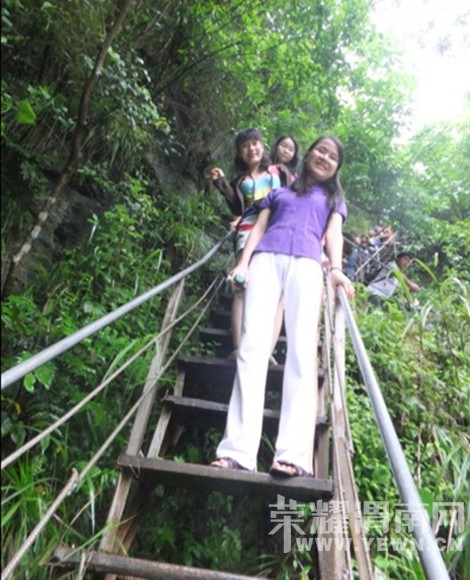 �����żҽ��������������У�