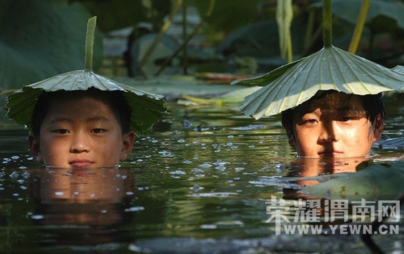 �ļ�ϴ�»���ζ��ǣ�����ϸ�������������⼸�������ֽ��������������ԣ�