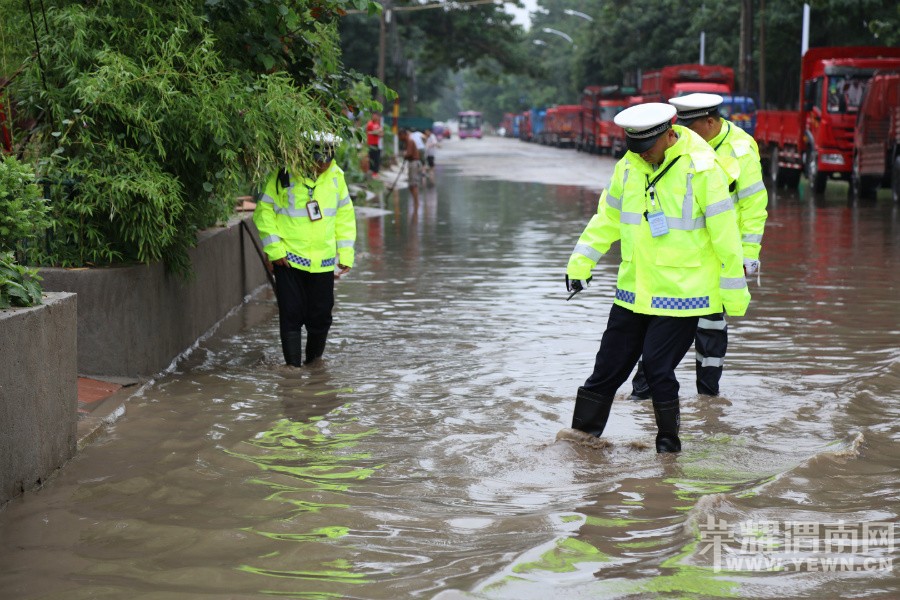 μ�ϵĴ����� �����ɡ����������� ͼ��