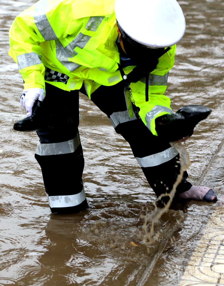 μ�ϵĴ����� �����ɡ����������� ͼ��