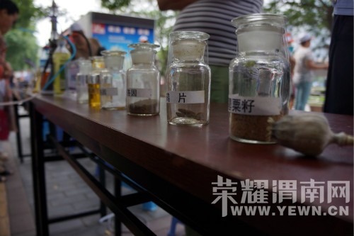 "�޶��ഺ����������" ��29�����ʽ�����������������Ĺ㳡����