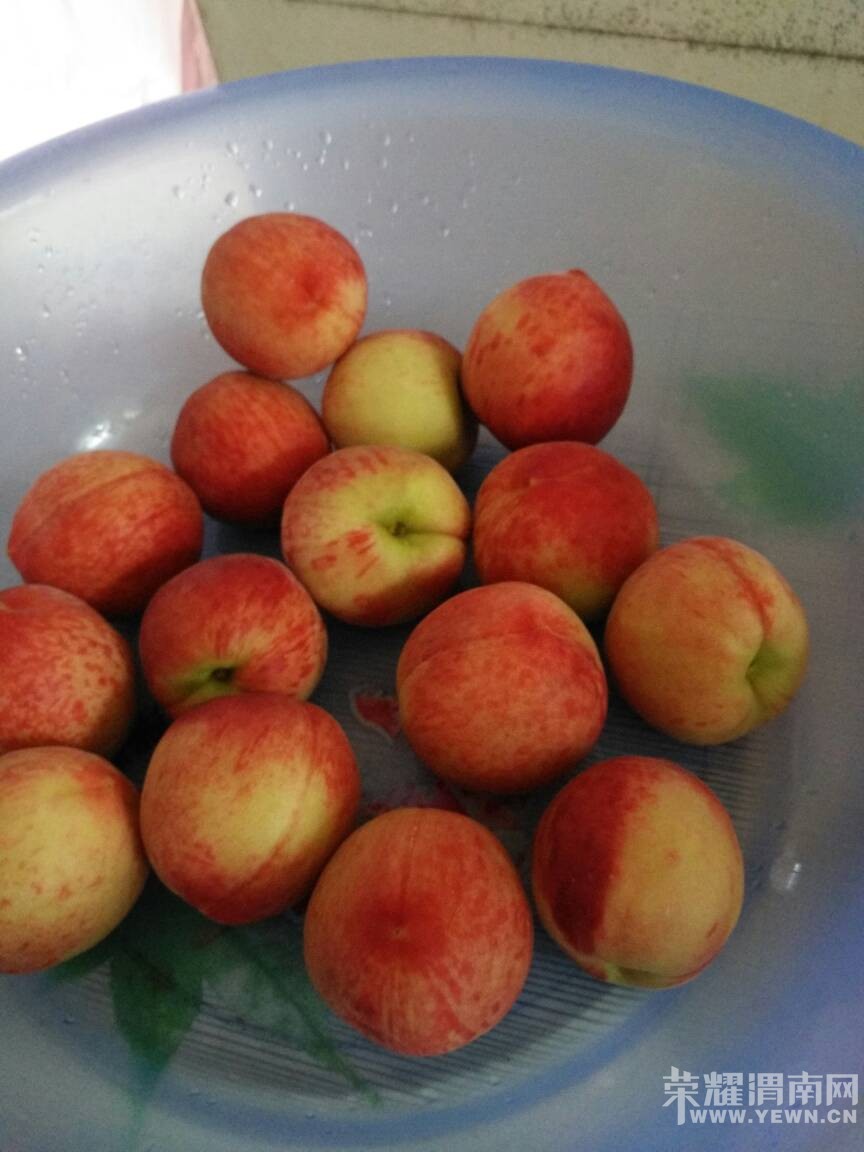 �ϴο���Ȧ�����˷����Լ��ؼ�Ҳ���ˣ�ζ��������