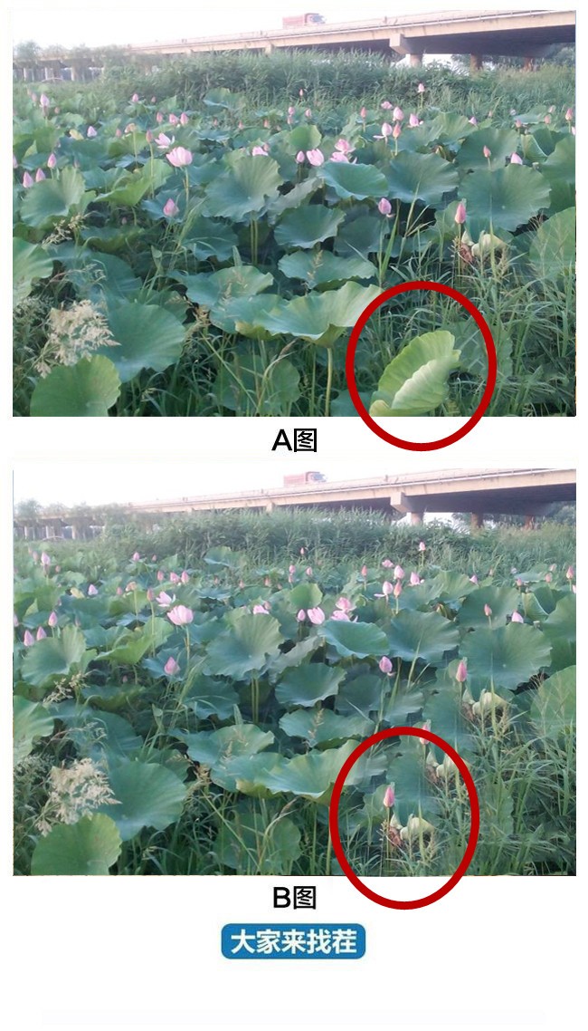 ��������Ҳ�-��102�ڡ���С��һ������ɣ����������Ҳ��