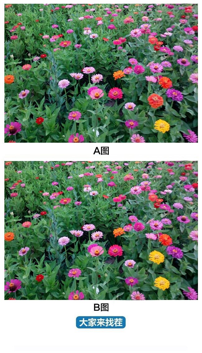 ��������Ҳ�-��103�ڡ�����֮���Բ��������ǰ��Լ��Ŵ��˵ط�