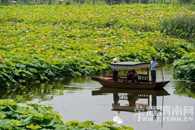 ��ǧɽԽ���⡿7��3�գ����գ���������̽�ذ��˶�+ҹ��Ͽ��+馻������ͺɻ�