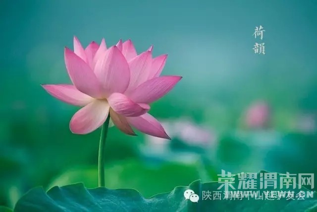 ��ǧɽԽ���⡿7��3�գ����գ���������̽�ذ��˶�+ҹ��Ͽ��+馻������ͺɻ�