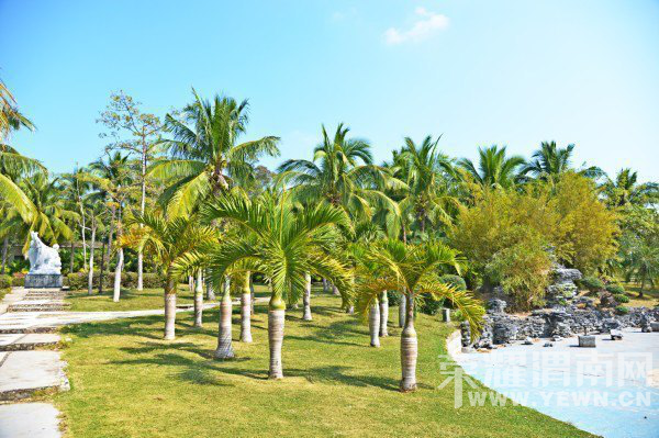 ����6�£�������Լ����