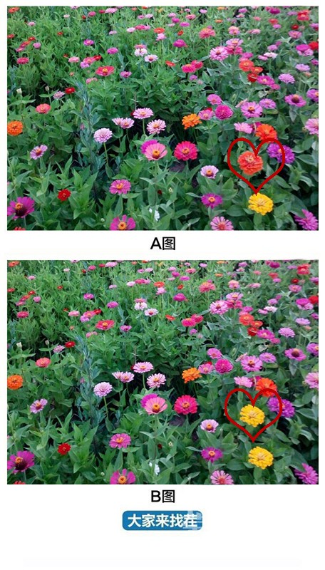 ��������Ҳ�-��103�ڡ�����֮���Բ��������ǰ��Լ��Ŵ��˵ط�